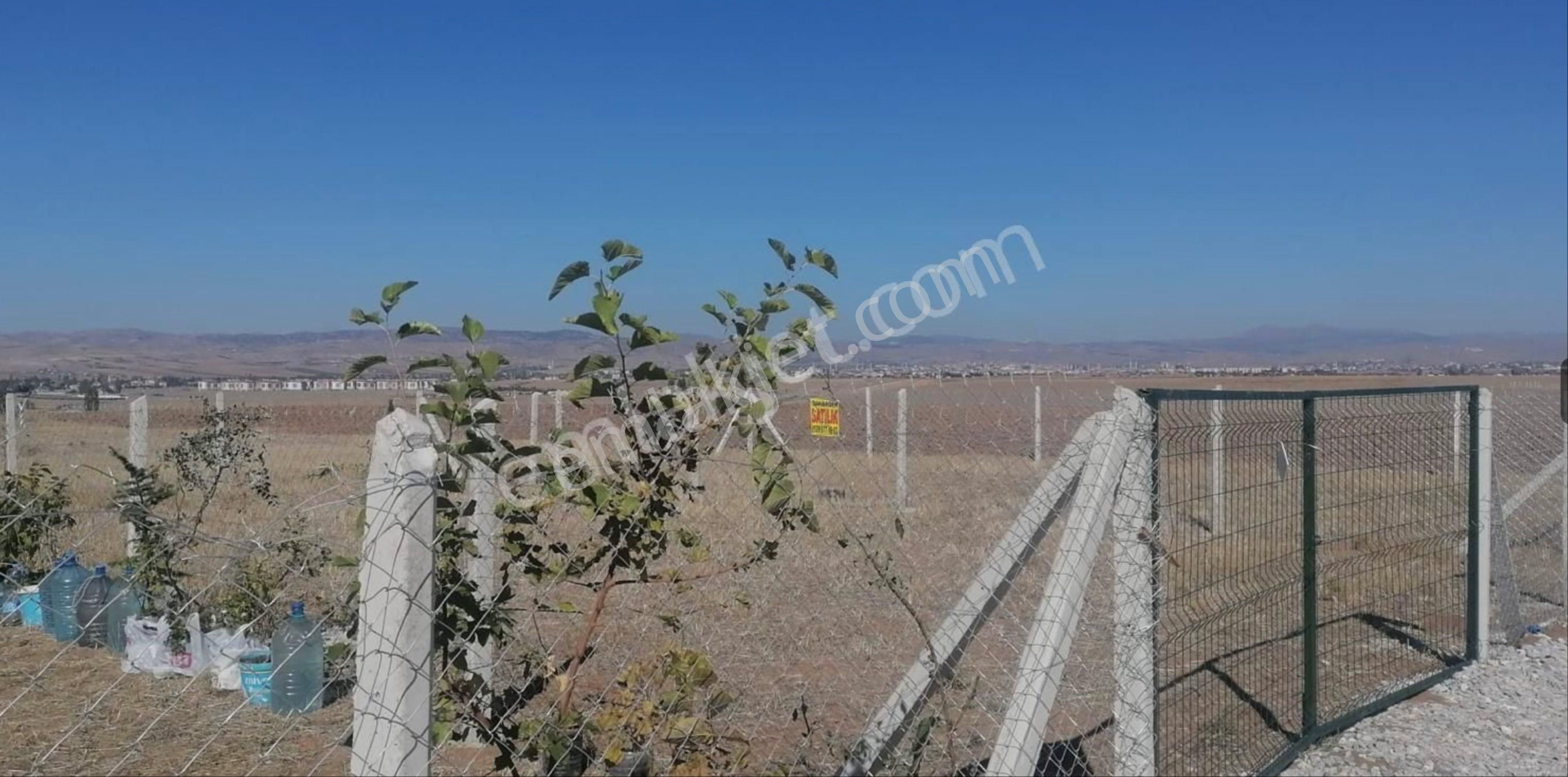 Çubuk Taşpınar Satılık Bağ & Bahçe Akd Grup Yatırımdan 2 Adet Satılık Hobi Bahçesi