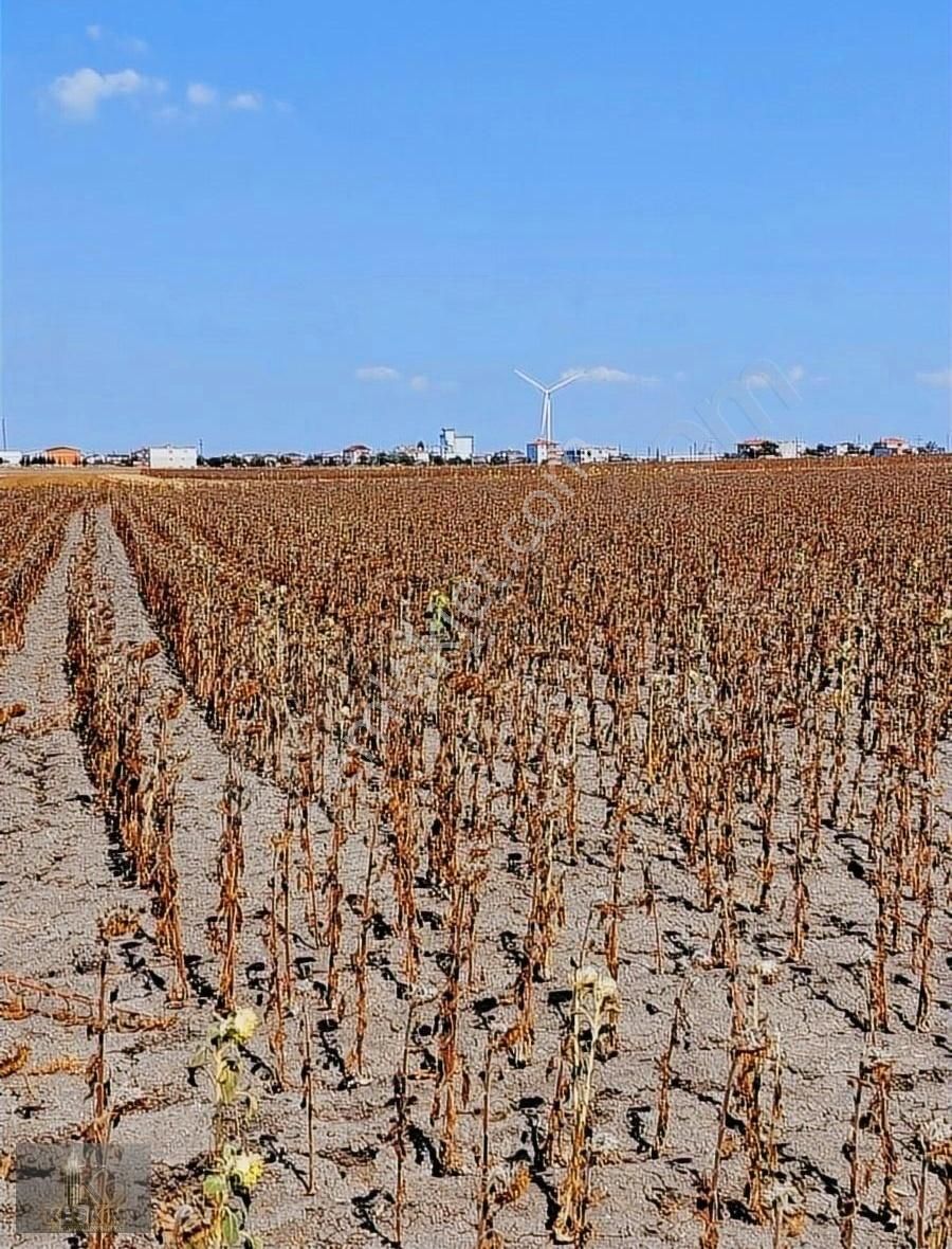 Ergene Vakıflar Satılık Konut İmarlı Tekirdağ Ergene Vakıflarda 6185 M² Satılık Tarla