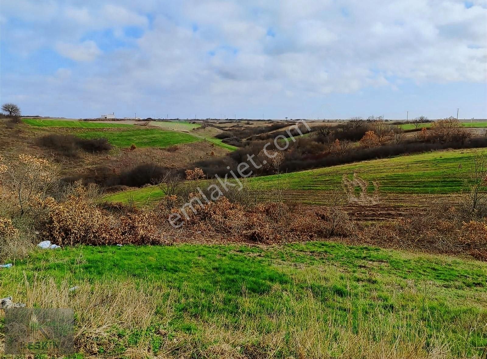 Saray Kurtdere Satılık Tarla Tekirdağ Saray Kurtdere'de 4760 M² Satılık Tarla