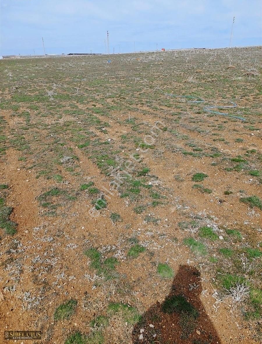 Sarayönü Yenicekaya Satılık Konut İmarlı Sarayönü İmarlı Arsa