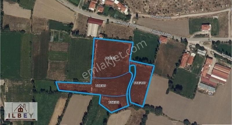 Şuhut Taşlıca Satılık Tarla İlbey // Şuhut Taşlıca Mah. Çakırözü Cad. Yanında 16670 M² Tarla