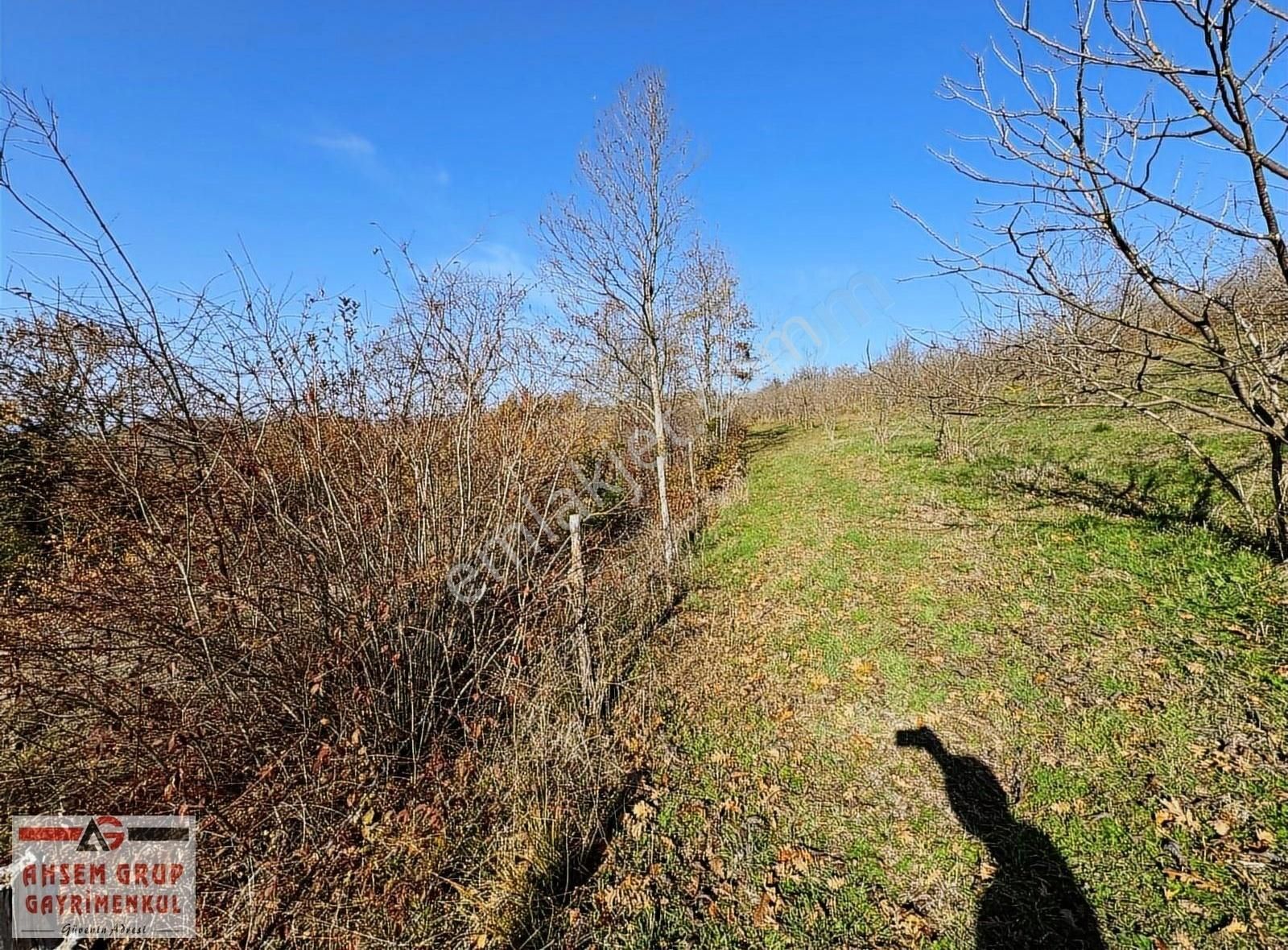 Kandıra Kubuzcu Satılık Tarla Kubuzcu Köy Merkezi Dibinde 2.064 M2 Satılık Harika Konum Tarla