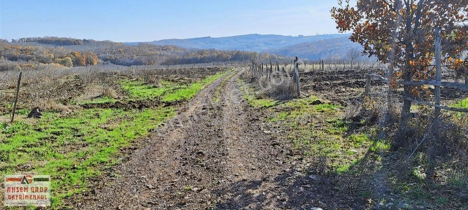 Kandıra Hacımazlı Satılık Bağ & Bahçe Kandıra Hacımazlıda Yola 1 Parsel 1127 M2 Satılık Fındık Bahçesi