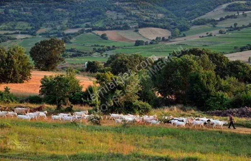 Malkara Sarıpolat Satılık Villa İmarlı Key House'tan Malkara'da Köyiçi İmarlı Son Fırsat Arsalar