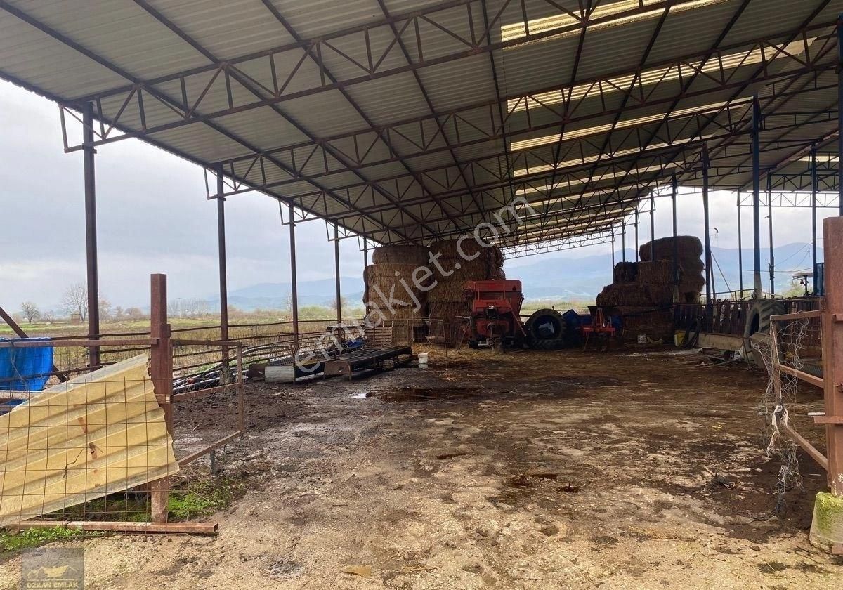 İzmir Tire De Satlık Çiftlik - Görsel 14