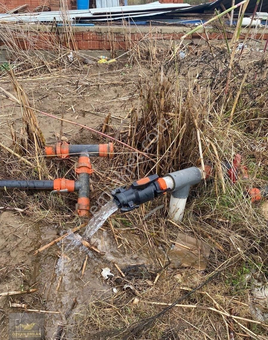 İzmir Tire De Satlık Çiftlik - Görsel 5