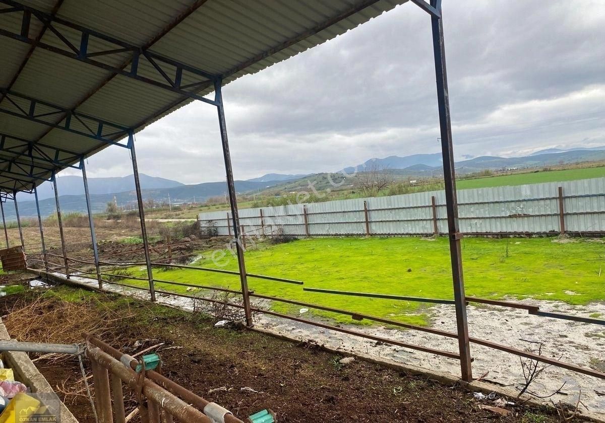 İzmir Tire De Satlık Çiftlik - Görsel 16
