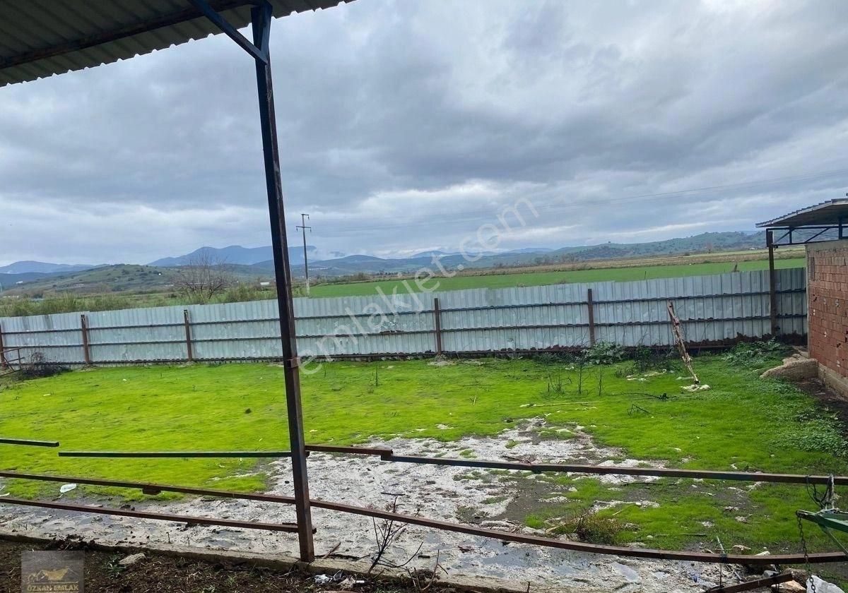 İzmir Tire De Satlık Çiftlik - Görsel 12
