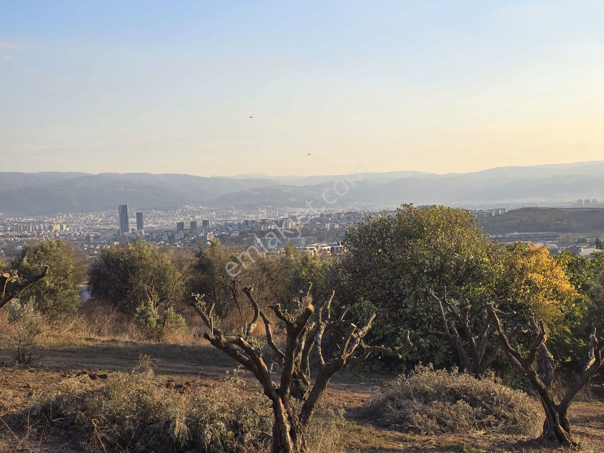 Mudanya Çağrışan Satılık Villa İmarlı Çağrışan'da 3180m2 Tek Tapu Villa İmarlı Arsa