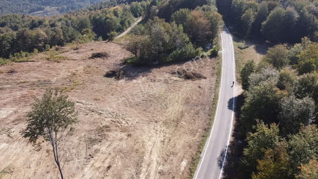 Erfelek Mescitdüzü Köyü (Erpelek) Satılık Tarla Sinop Erfelekde Yol Kenarında 30 Dönüm Değerli Arsa