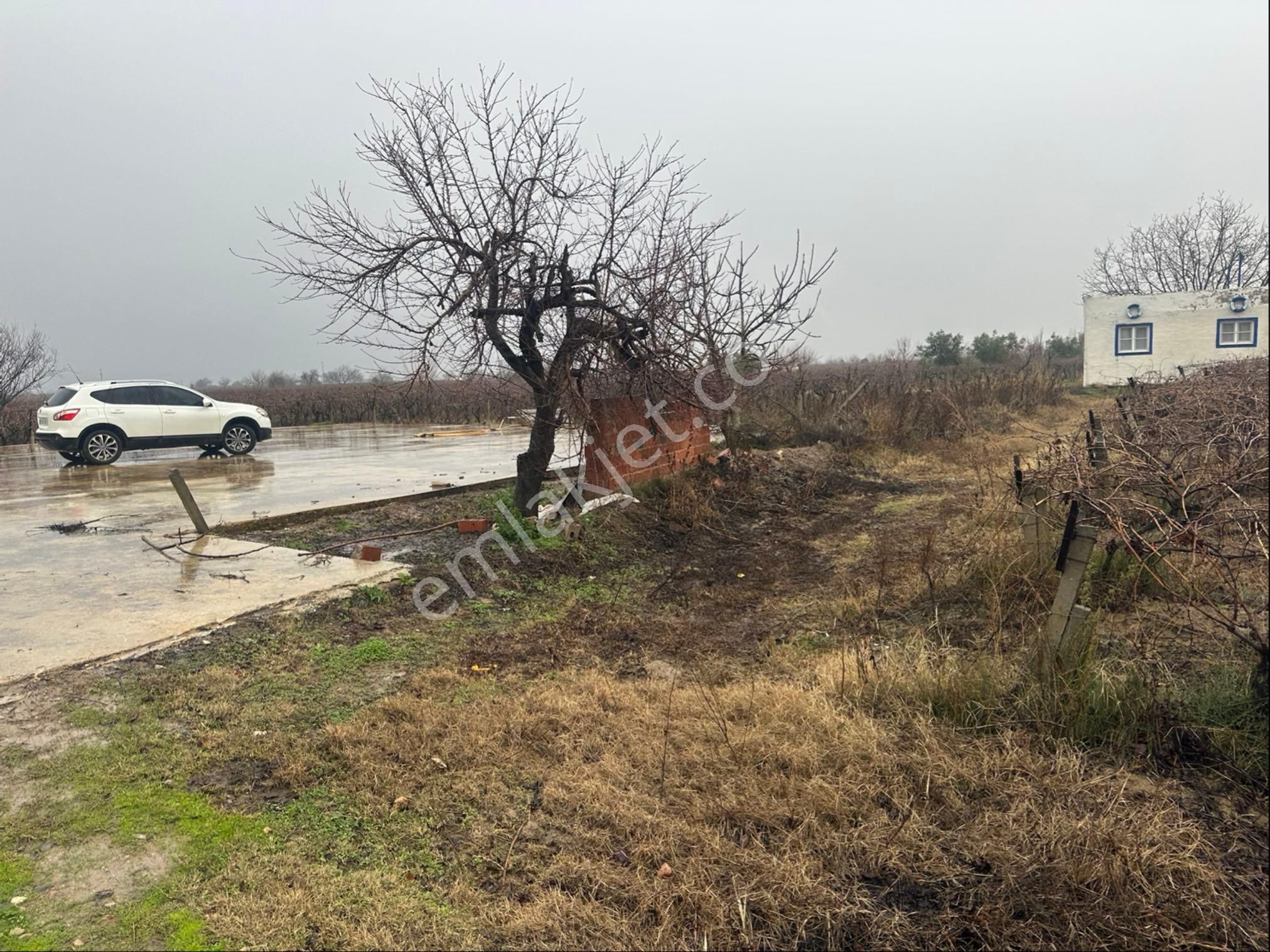 Alaşehir Çakırcaali Satılık Bağ & Bahçe Bakımlı Bağ