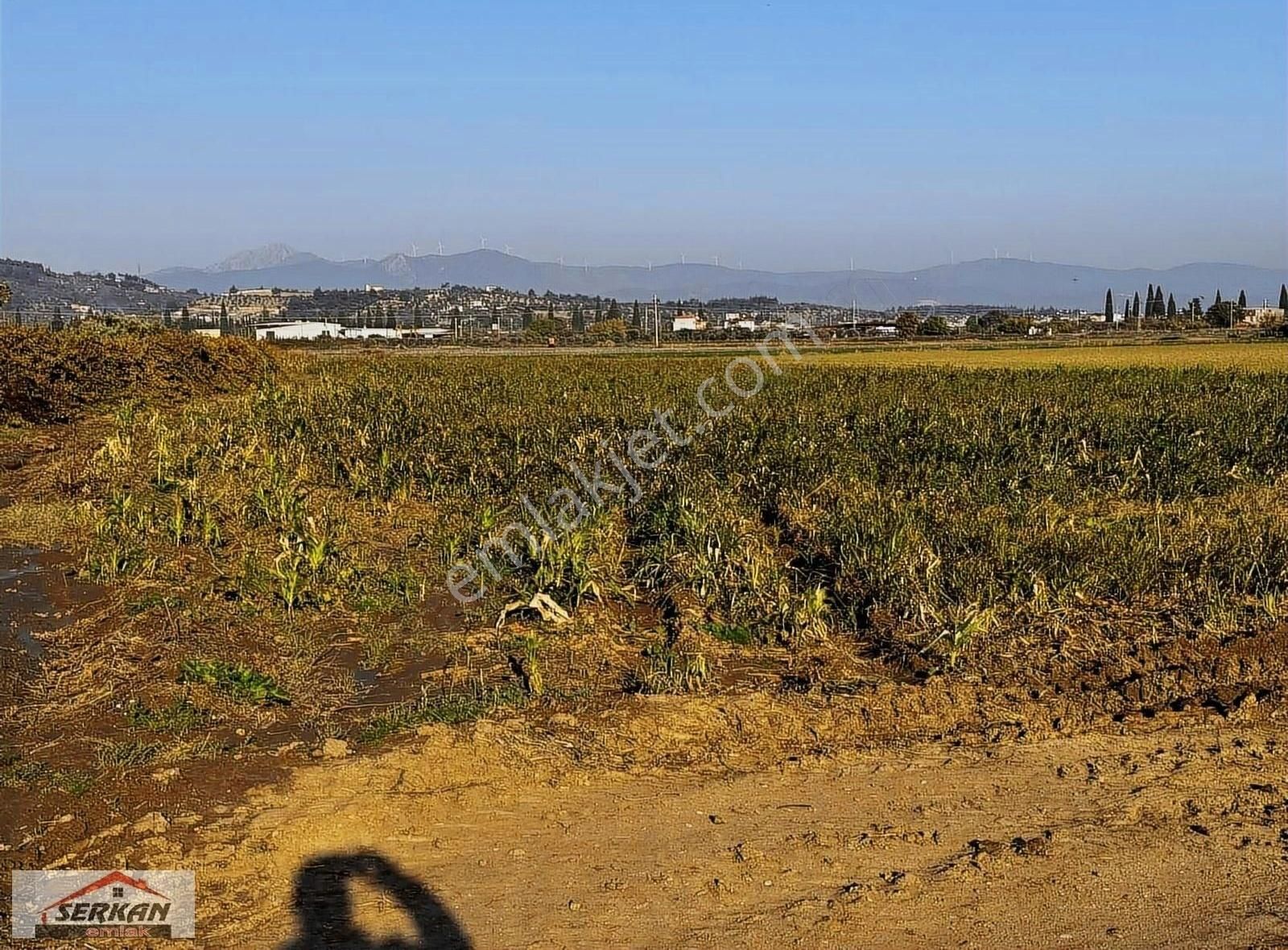 Torbalı Çapak Satılık Tarla Serkan Emlak Tan Satılık 5600 M2 Değerli Arazi