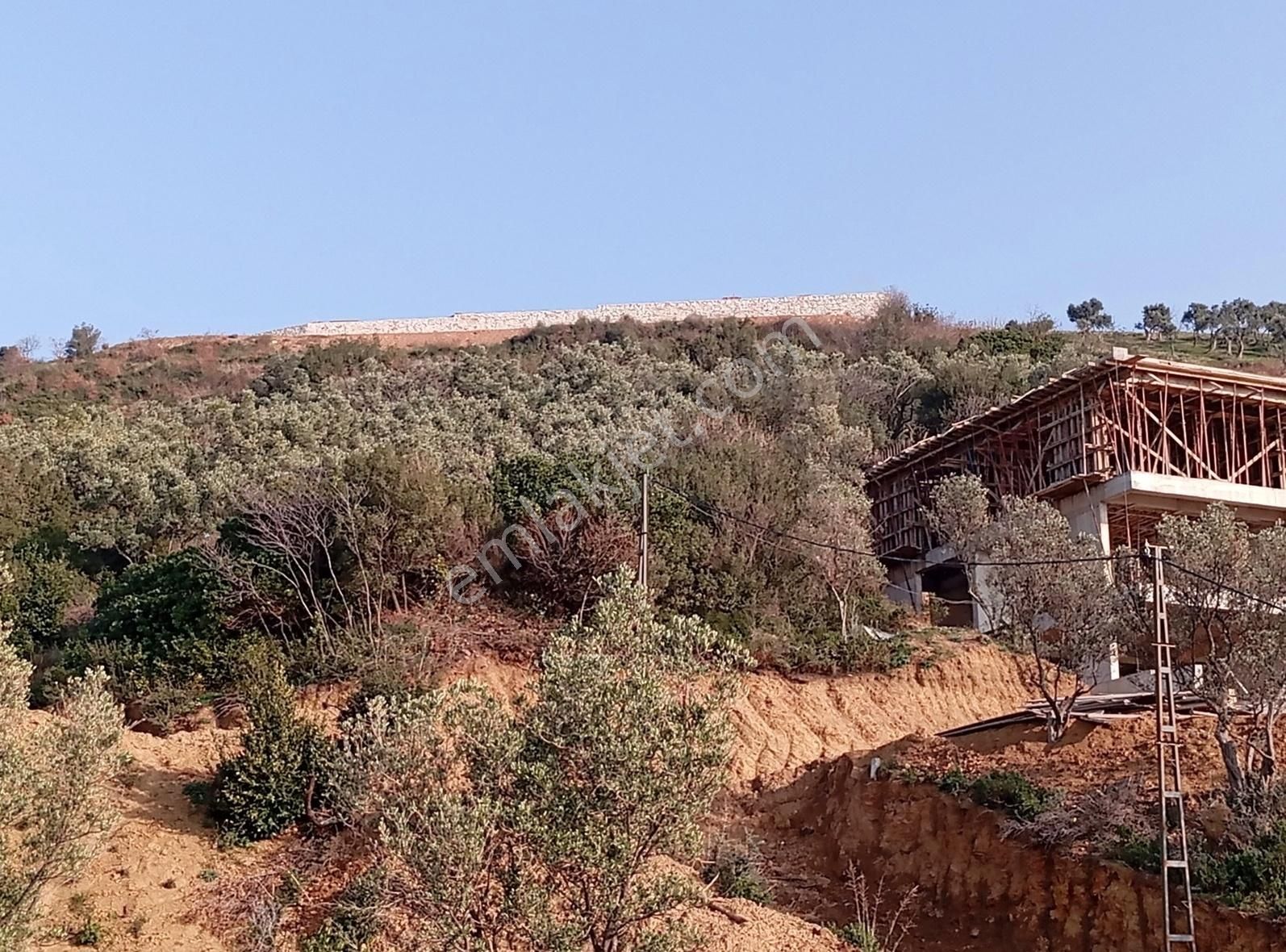 Çınarcık Esenköy Bld. (Liman) Satılık Konut İmarlı Acil Yalova Çınarcık Esenköy De Satılık Arsa