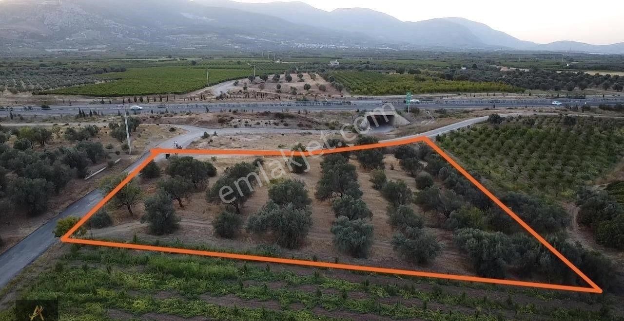 Şehzadeler Sancaklıiğdecik Satılık Zeytinlik Sancaklı İğdecik 2.etap Sanayi Projesi İçinde 4400 M2 Arazi