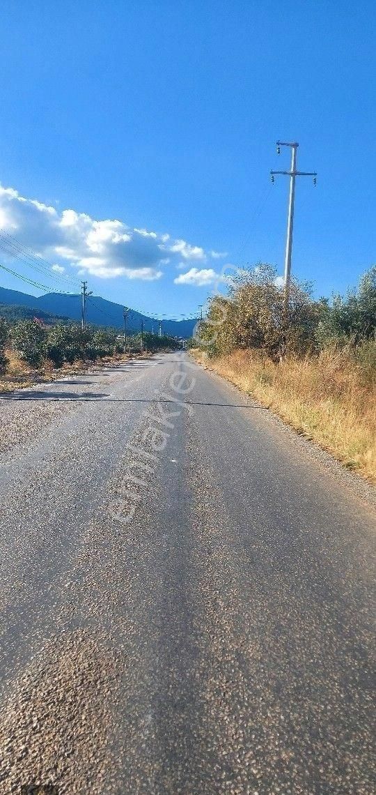 Şehzadeler Sancaklıiğdecik Satılık Bağ & Bahçe Kaçmaz Yatırım Fırsatı Sancakli İğdecik Köy Yakını 2700 M² Açıklamayı Okuyun