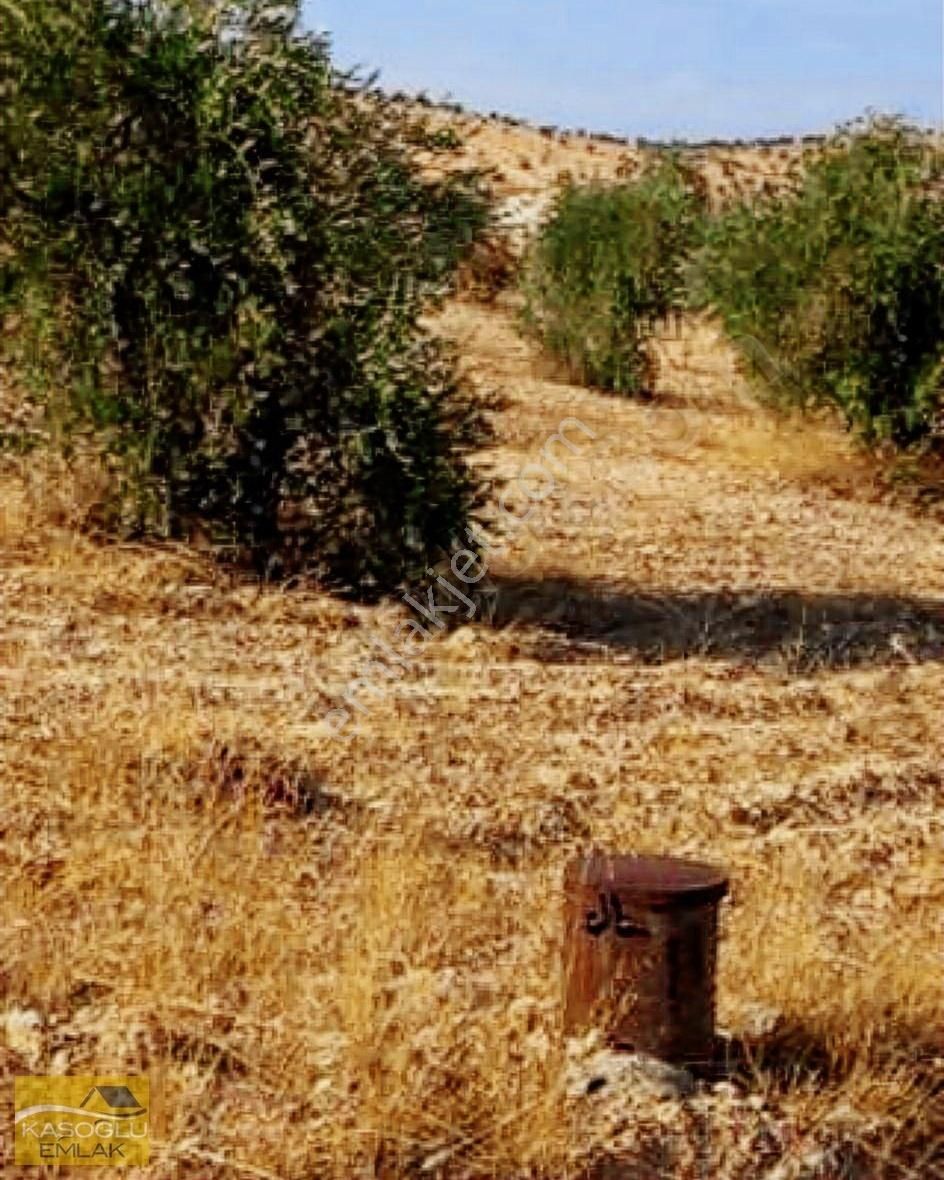 Nizip Kıratlı Satılık Tarla Nizip Kıratlıda İçinde Fıstık, Ceviz Ve Zeytin Bulunan Bahçe