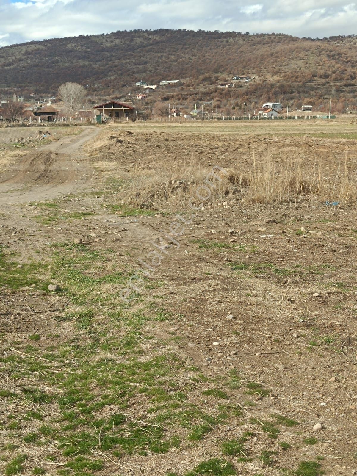 Akören Kayasu Satılık Bağ & Bahçe Konya İli Akören İlcesi Kayasu Mahallesi'nde