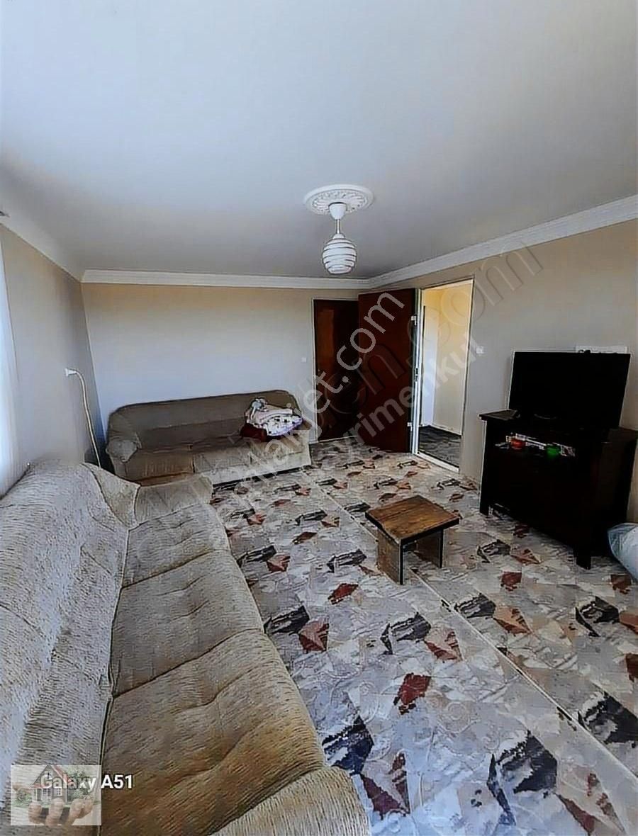 Urla Naiplide Zeytinlikler Arasında Doğayla Baş Başa - Görsel 9