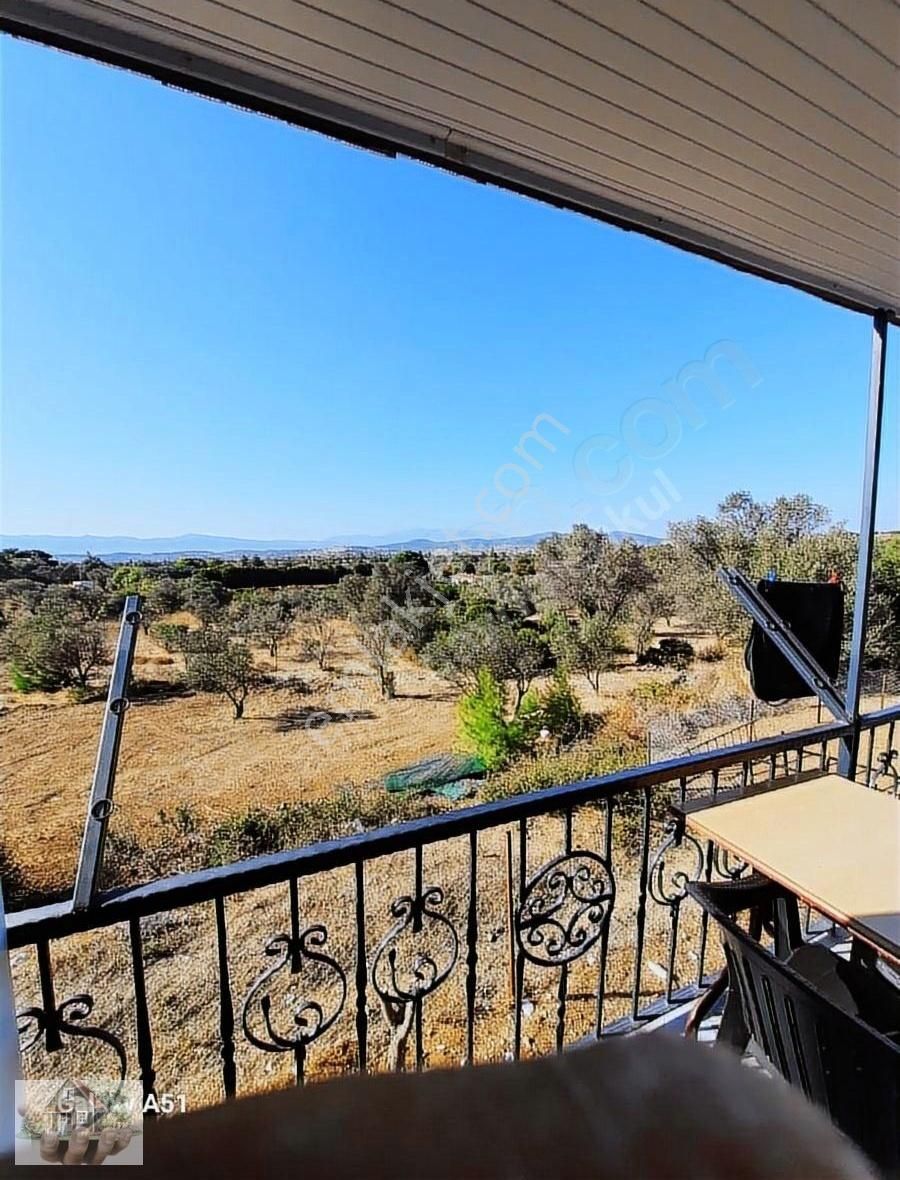 Urla Naiplide Zeytinlikler Arasında Doğayla Baş Başa - Görsel 22