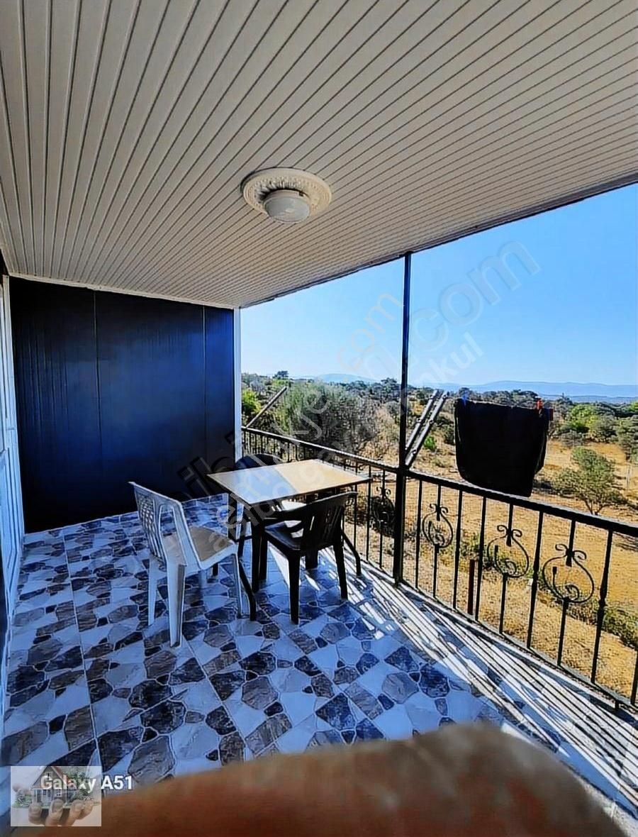 Urla Naiplide Zeytinlikler Arasında Doğayla Baş Başa - Görsel 29