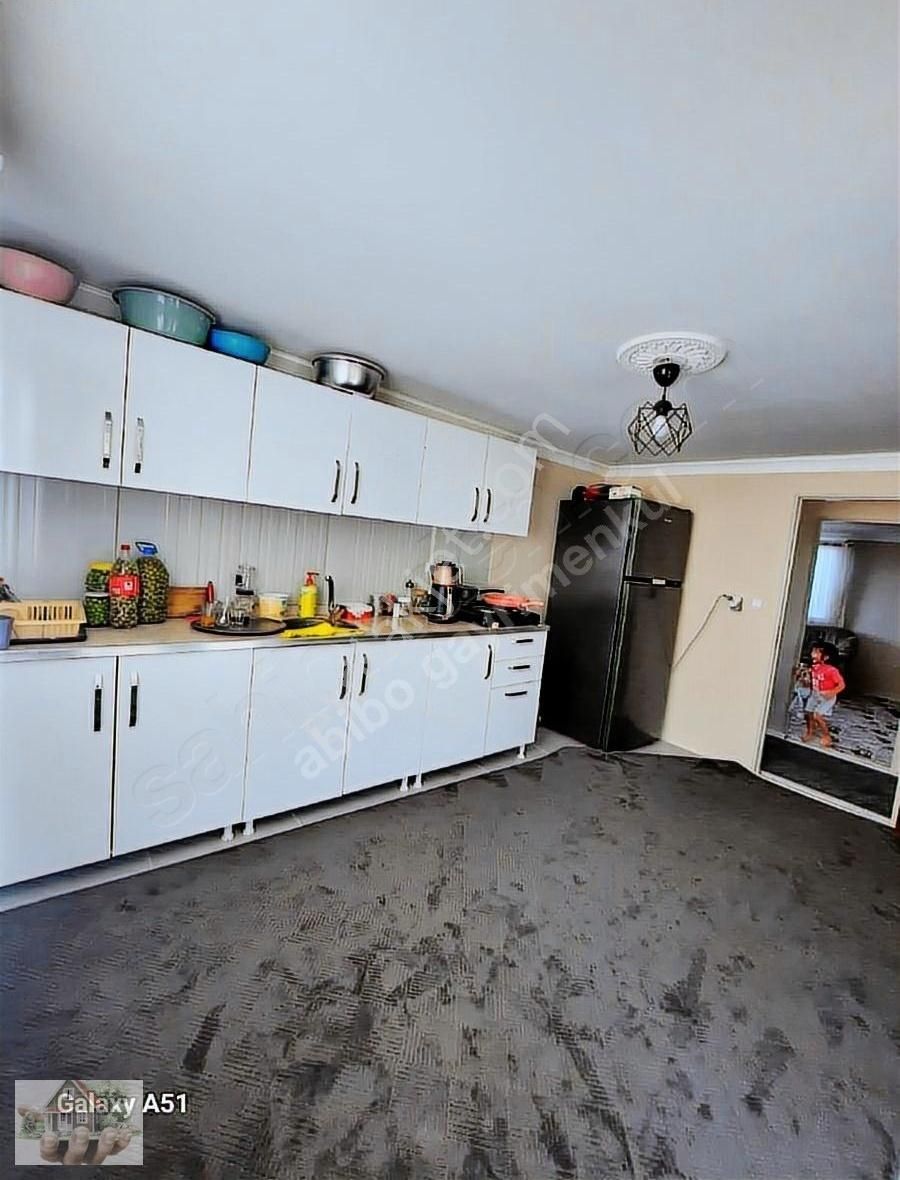 Urla Naiplide Zeytinlikler Arasında Doğayla Baş Başa - Görsel 10