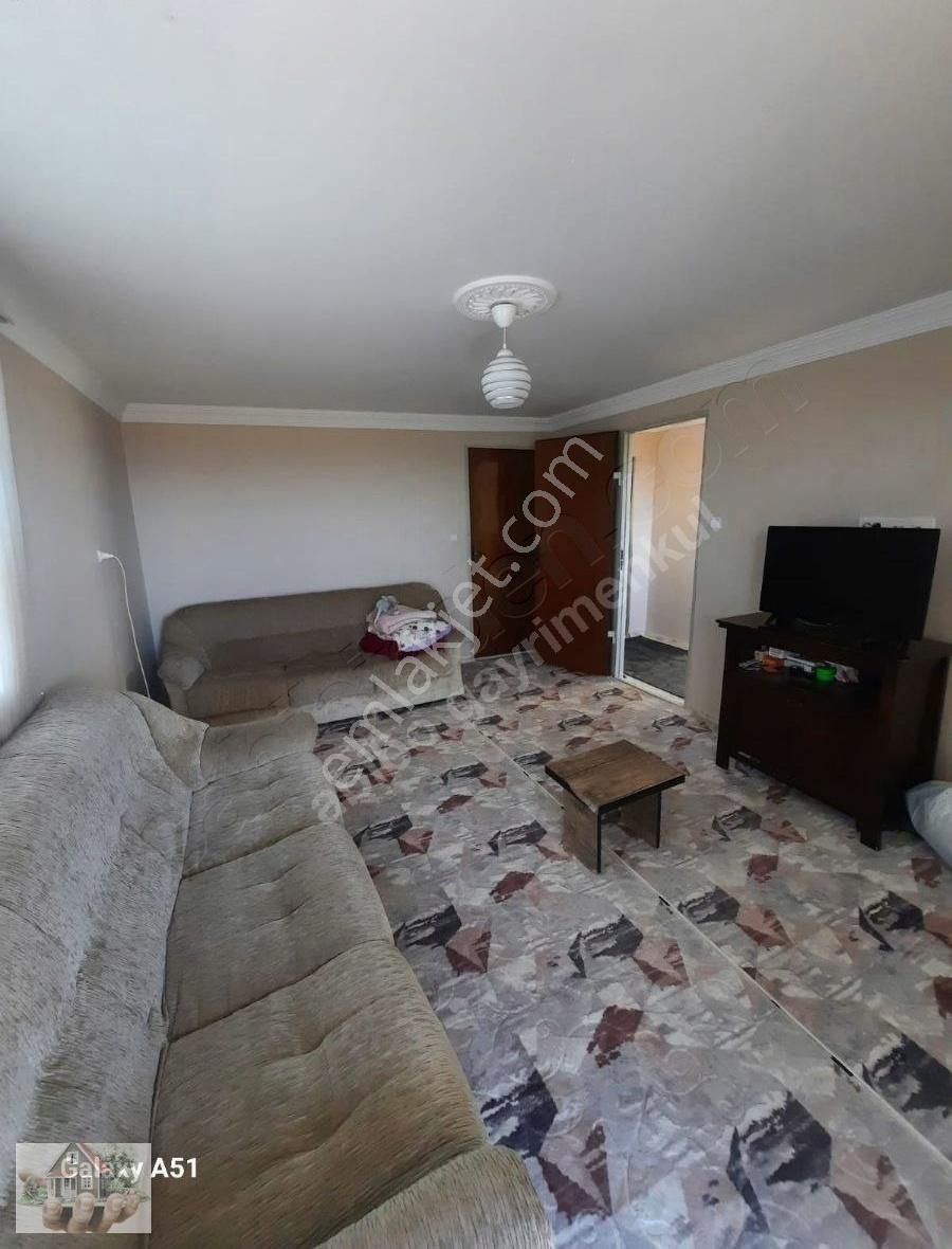 Urla Naiplide Zeytinlikler Arasında Doğayla Baş Başa - Görsel 28