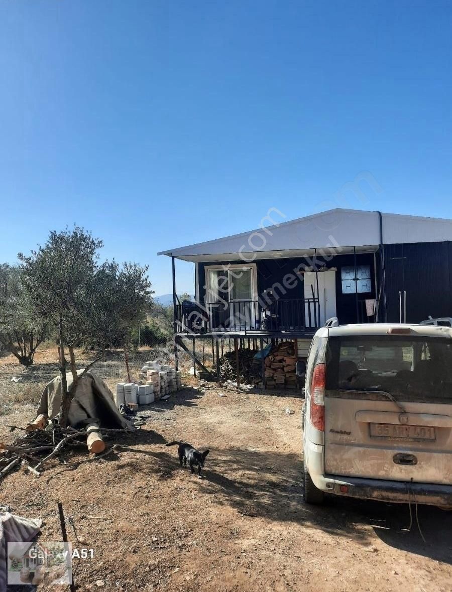 Urla Naiplide Zeytinlikler Arasında Doğayla Baş Başa - Görsel 8