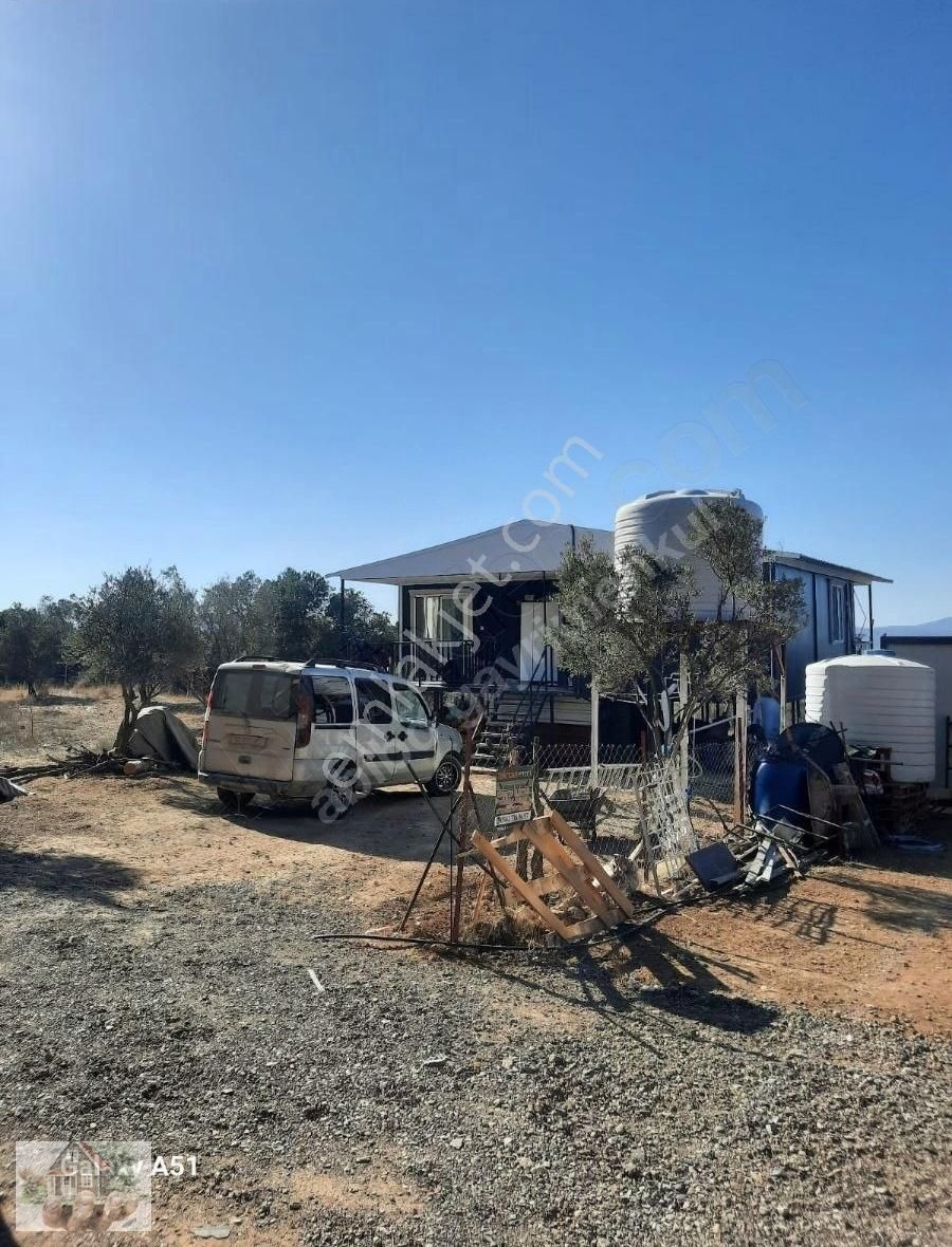 Urla Naiplide Zeytinlikler Arasında Doğayla Baş Başa - Görsel 7