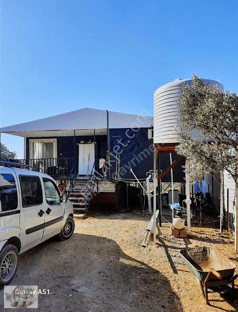 Urla Naiplide Zeytinlikler Arasında Doğayla Baş Başa - Görsel 25