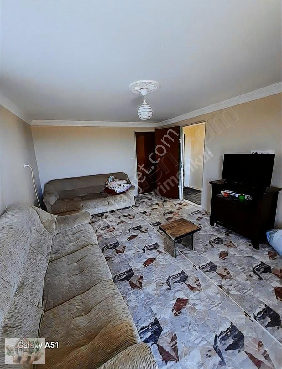 Urla Naiplide Zeytinlikler Arasında Doğayla Baş Başa - Görsel 18