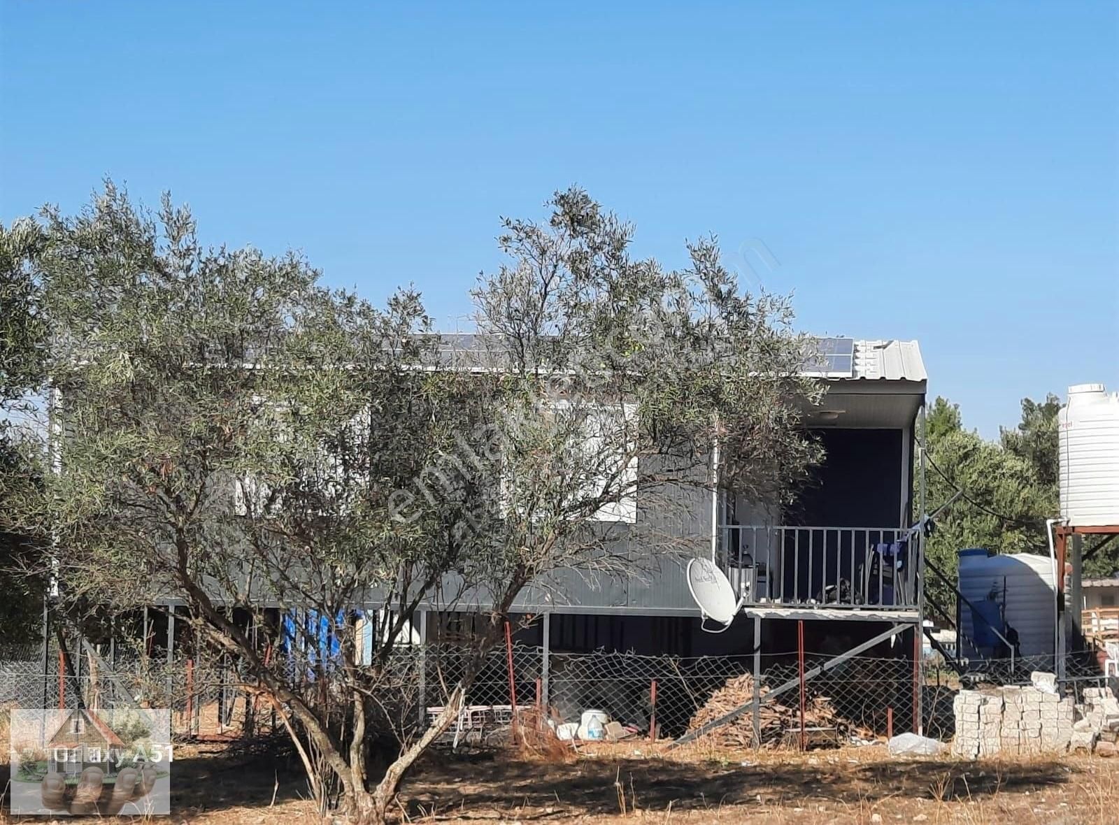 Urla Naiplide Zeytinlikler Arasında Doğayla Baş Başa - Görsel 17