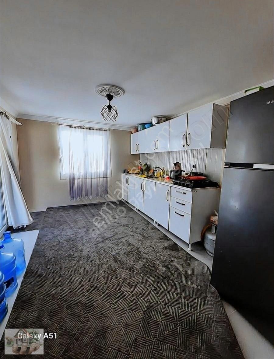 Urla Naiplide Zeytinlikler Arasında Doğayla Baş Başa - Görsel 21