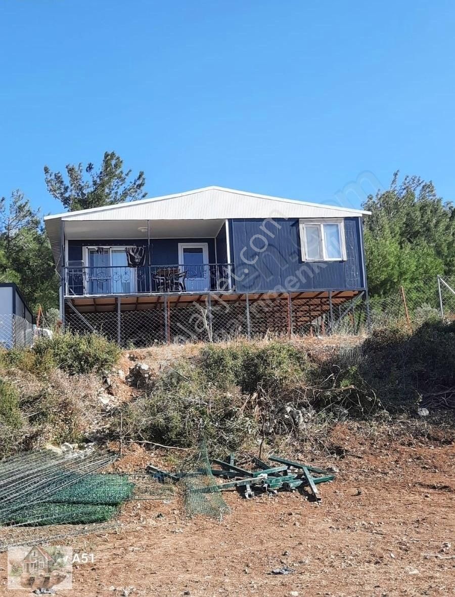 Urla Naiplide Zeytinlikler Arasında Doğayla Baş Başa - Görsel 33