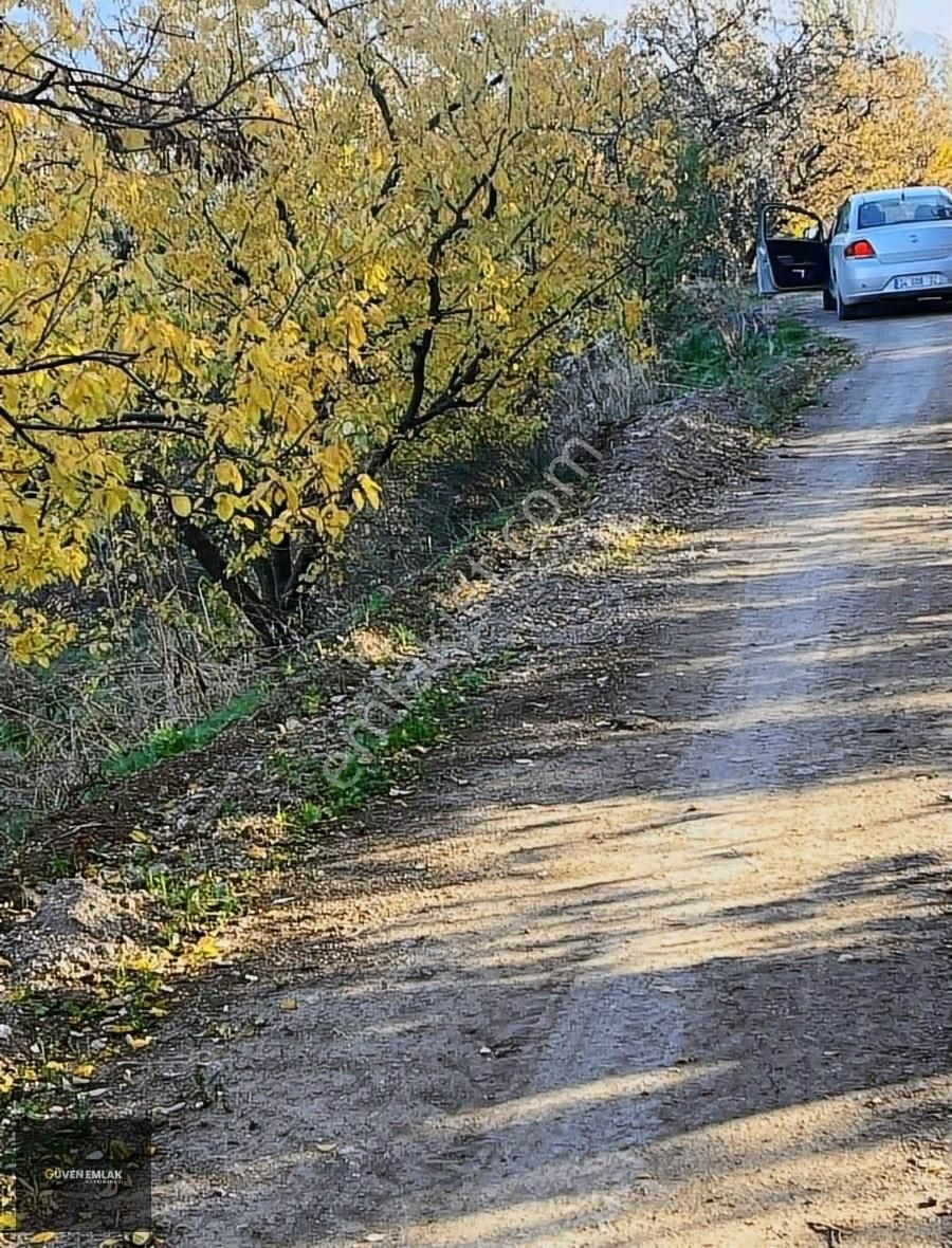 İznik Güven Emlaktan Satılık Bakımlı Şeftali Bahçesi. - Görsel 6