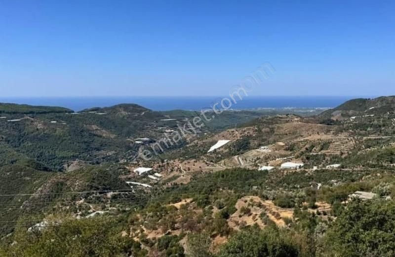 Alanya Yenice Satılık Tarla Satılık Alanya Yenice 2.159 M2 Tarla