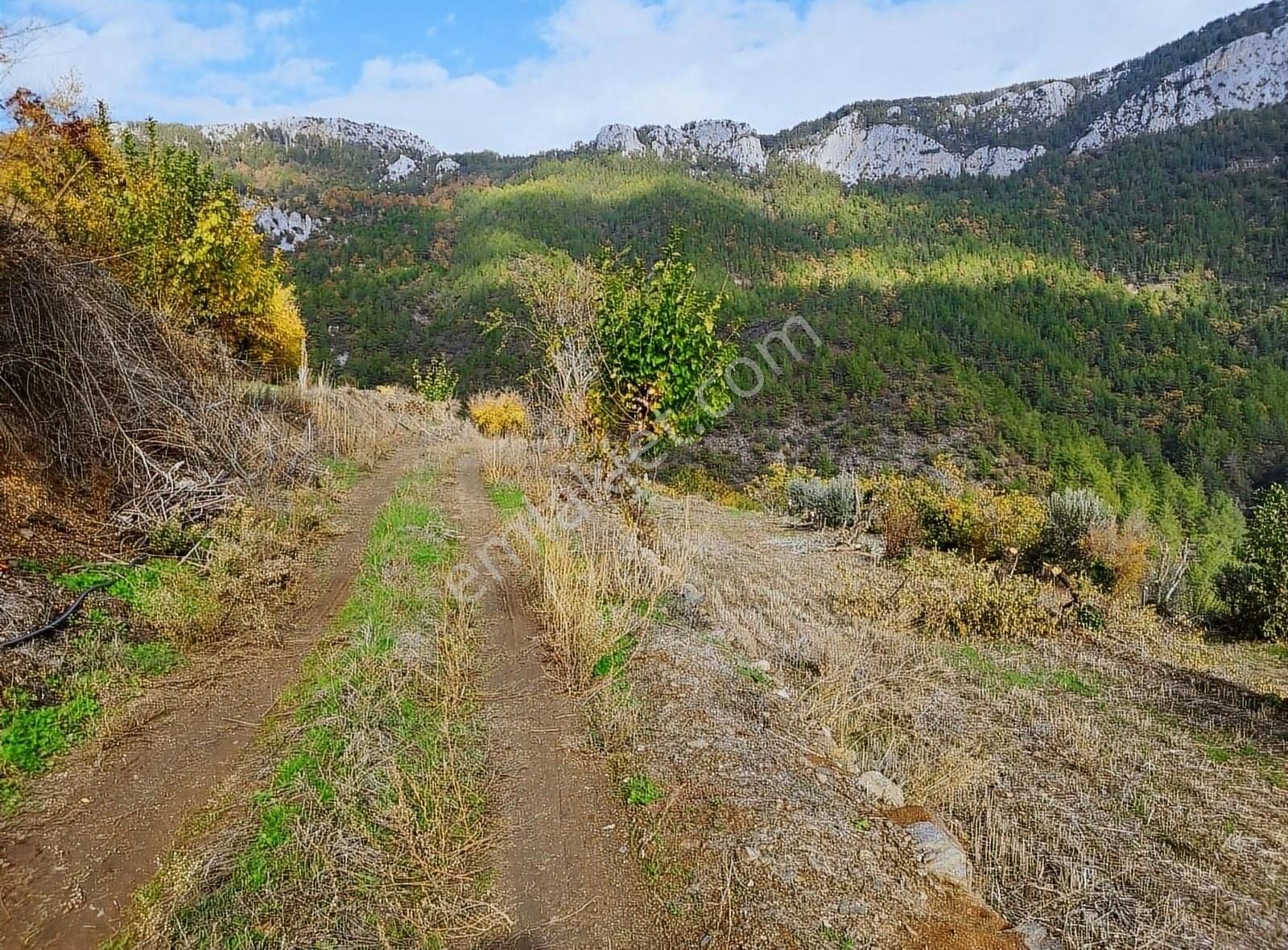 Alanya Sapadere Satılık Tarla Satılık Alanya Sapadere 8.466 M2 Tarla