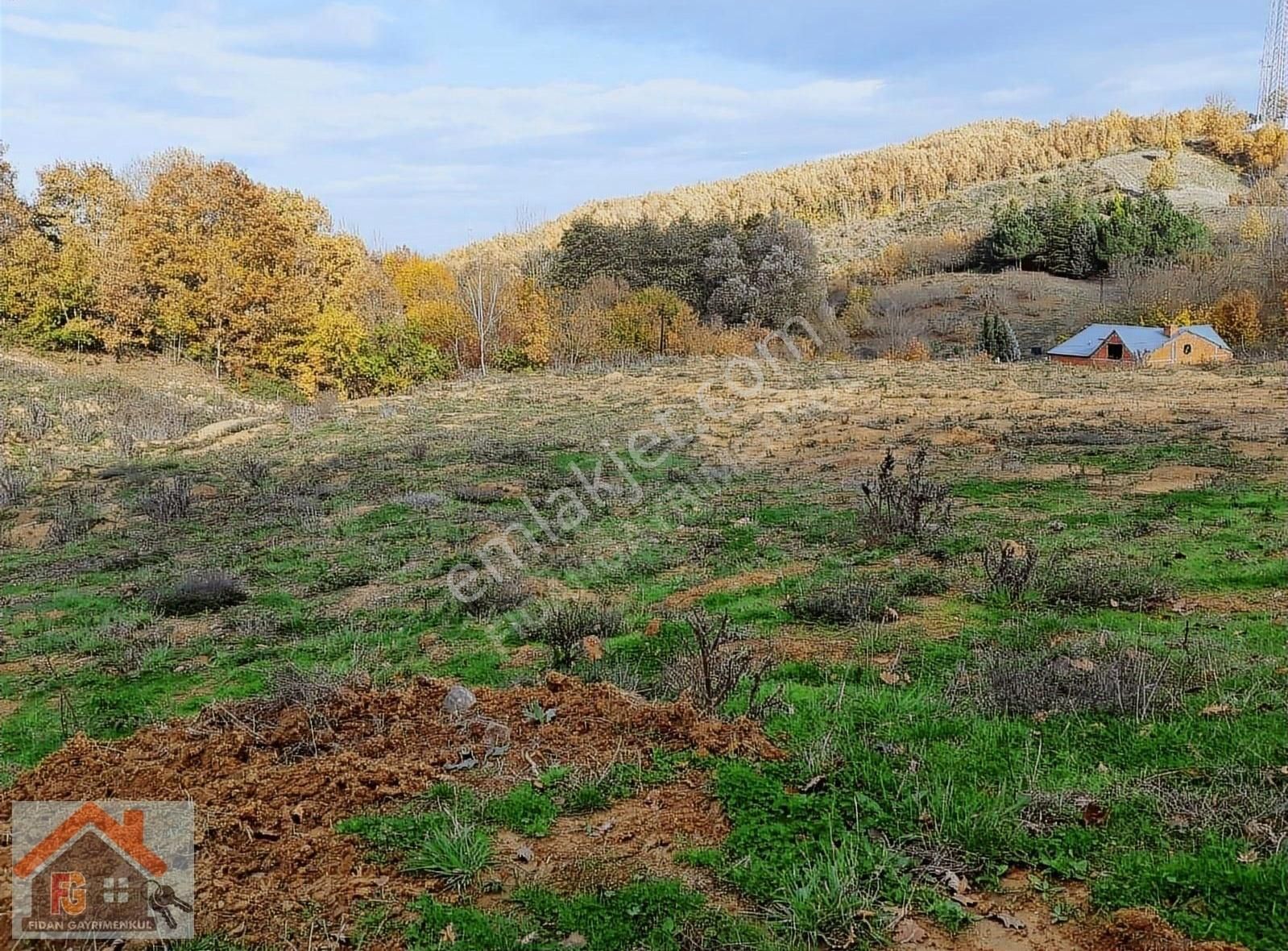 Altınova Örencik Köyü Satılık Tarla Altınova Örencik Köyü Yerleşim Alanı İmara Sınır Satılık Tarla