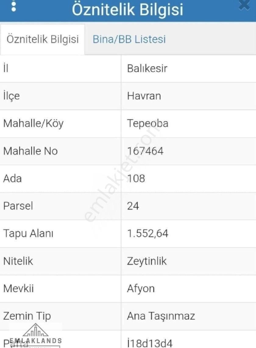 Köy Yerleşim Alanına Çok Yakın Satılık Zeytinlik - Görsel 6