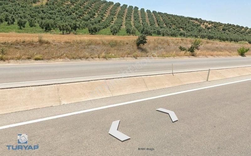 Gönen Havutça Satılık Tarla Balıkesir Gönen Havutça 10.800 M2 220 Adet Zeytin Ağaçlı Tarla