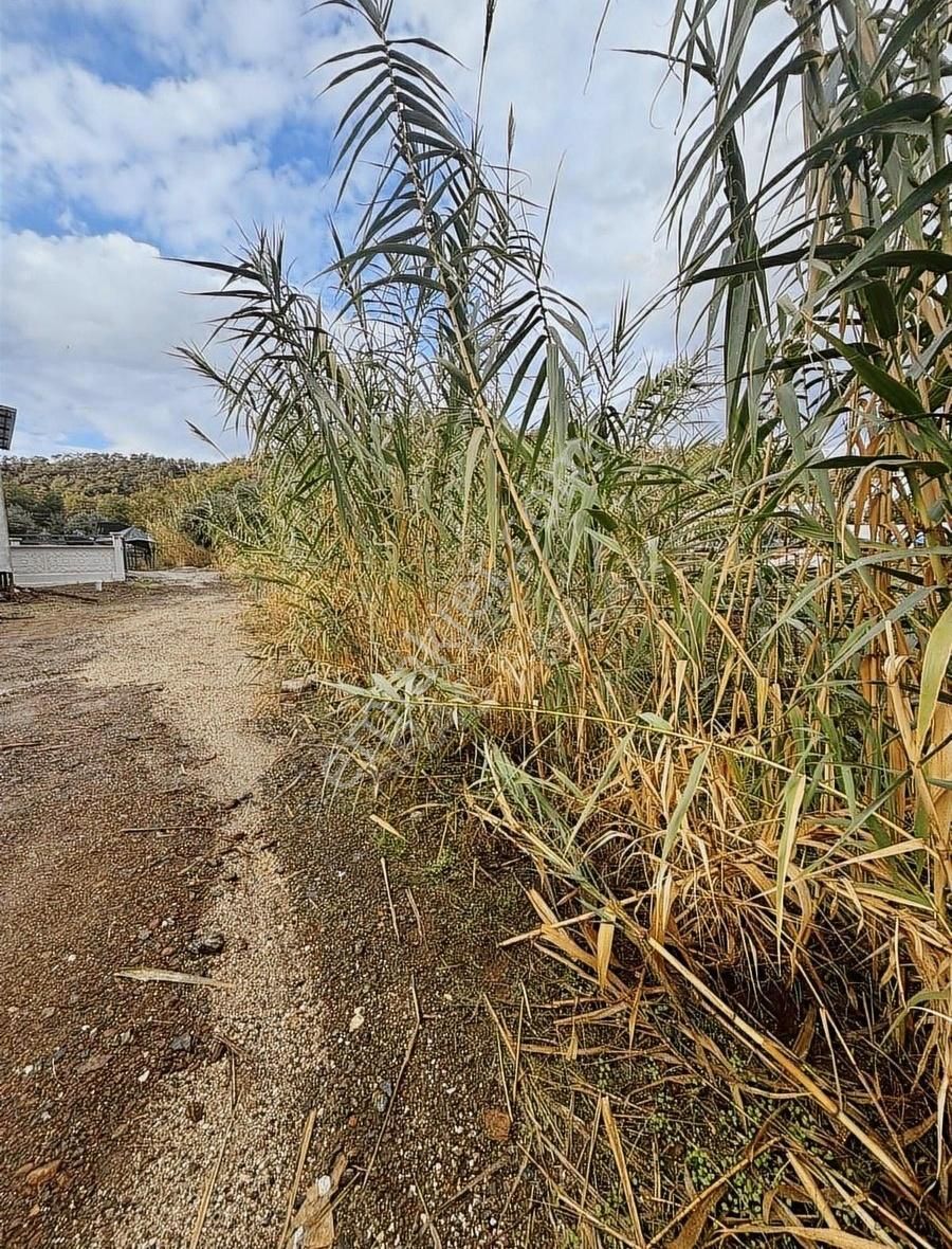 Fethiye Karagedik Satılık Tarla Günlük Başı Karagedik