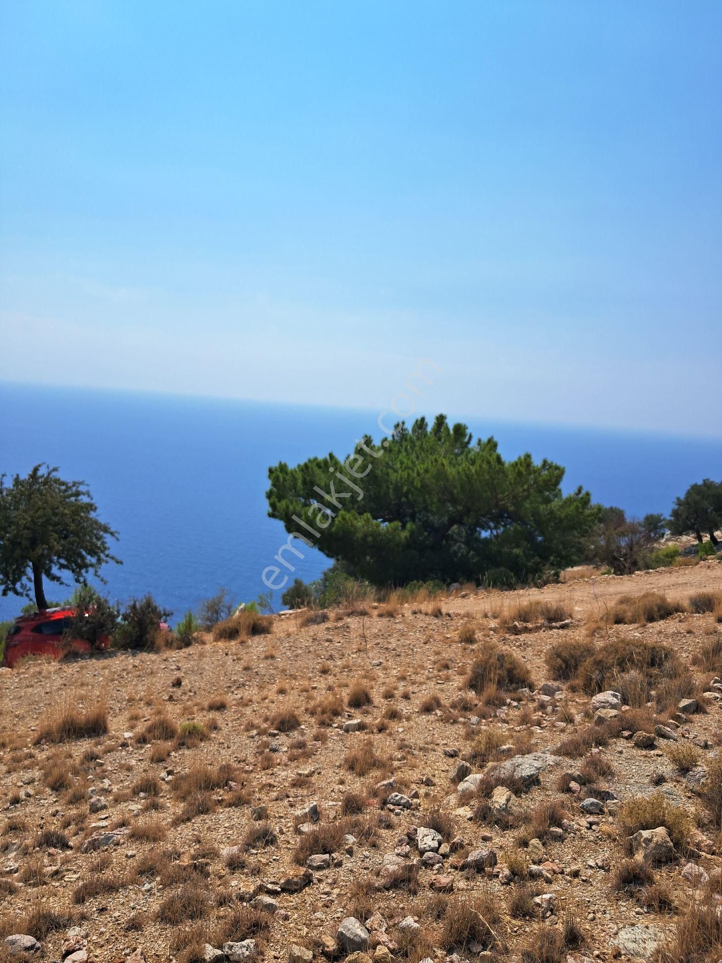 Seydikemer Boğaziçi Satılık Tarla Mercan Gayrimenkul'den Seydikemer Boğaziçi'nde Denize Yakın Son 2'nci Parsel 3.430m2 Tek Tapu Tarla