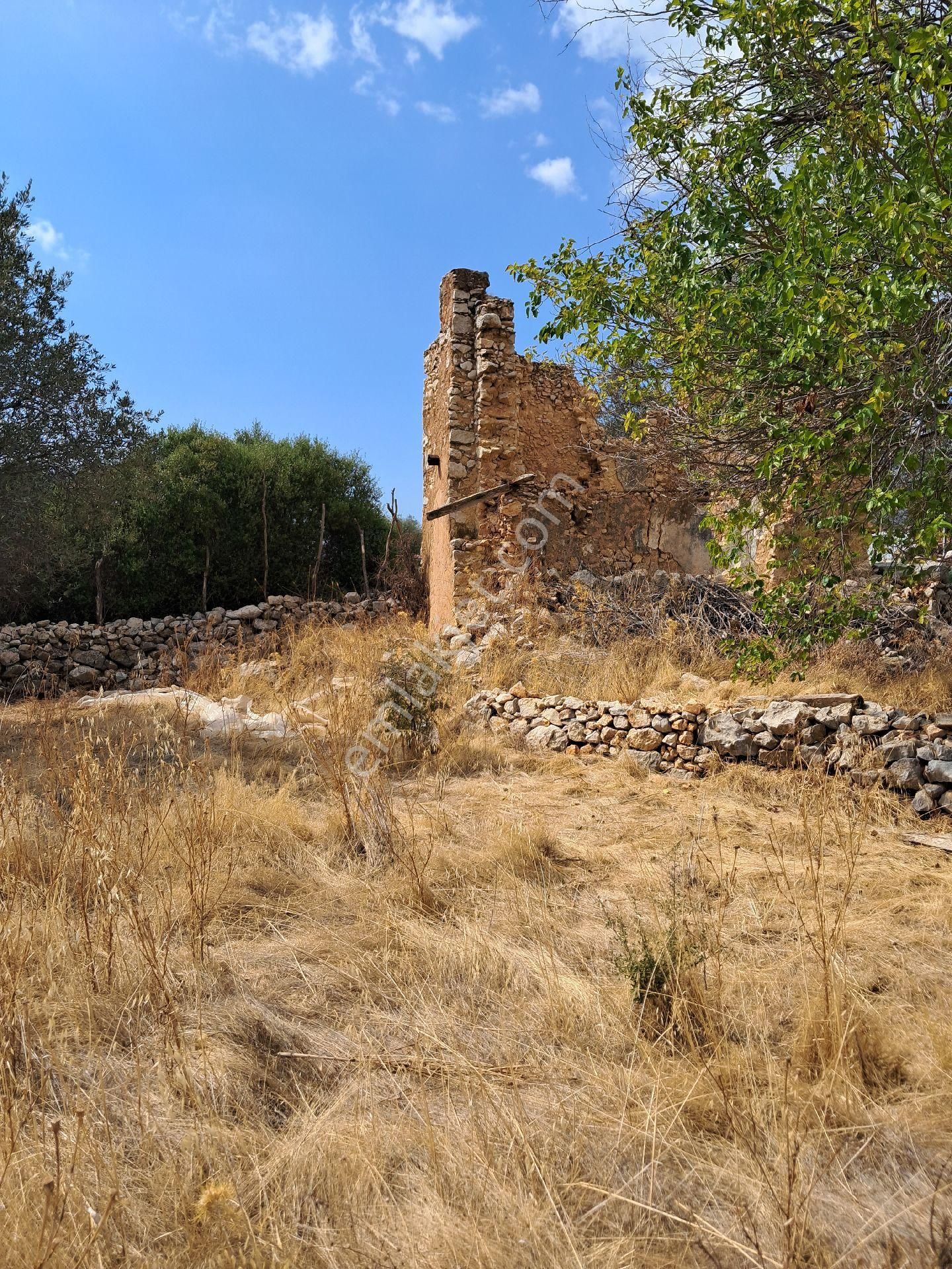 Seydikemer Dodurga Satılık Tarla Mercan Gayrimenkul'den Seydikemer Dodurga Kızılca Köyünde 610m2 Kargır Ev Ve Tarla