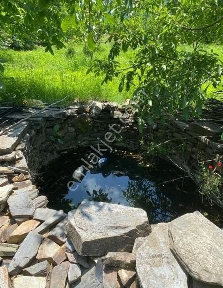 Bayındır Alankıyı Satılık Tarla Ersoy Emlaktan Satılık Büyük Hobi Bahçesi