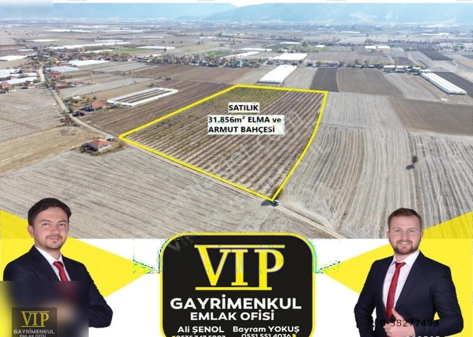 Elmalı Sarılar Satılık Bağ & Bahçe Vıp Gayrimenkul'den Sarılar Mah. 31.856m² Fırsat Uygun Arazi