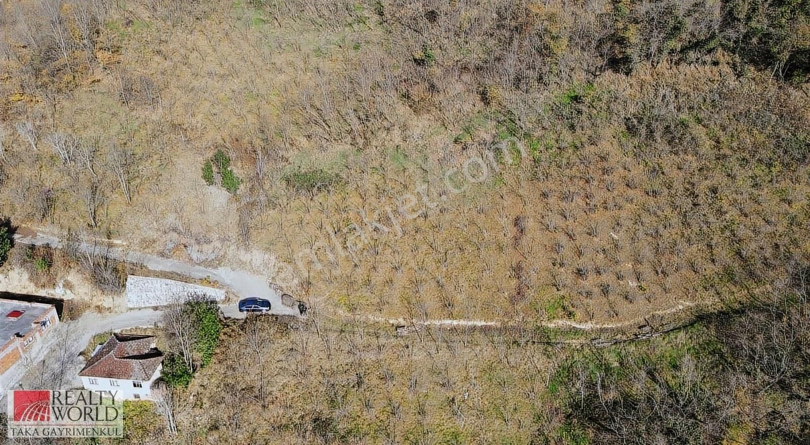 Ortahisar Akoluk Satılık Bağ & Bahçe Rw Taka Gayrimenkul'den Akoluk'ta Villa Yapımına Uygun Arsa