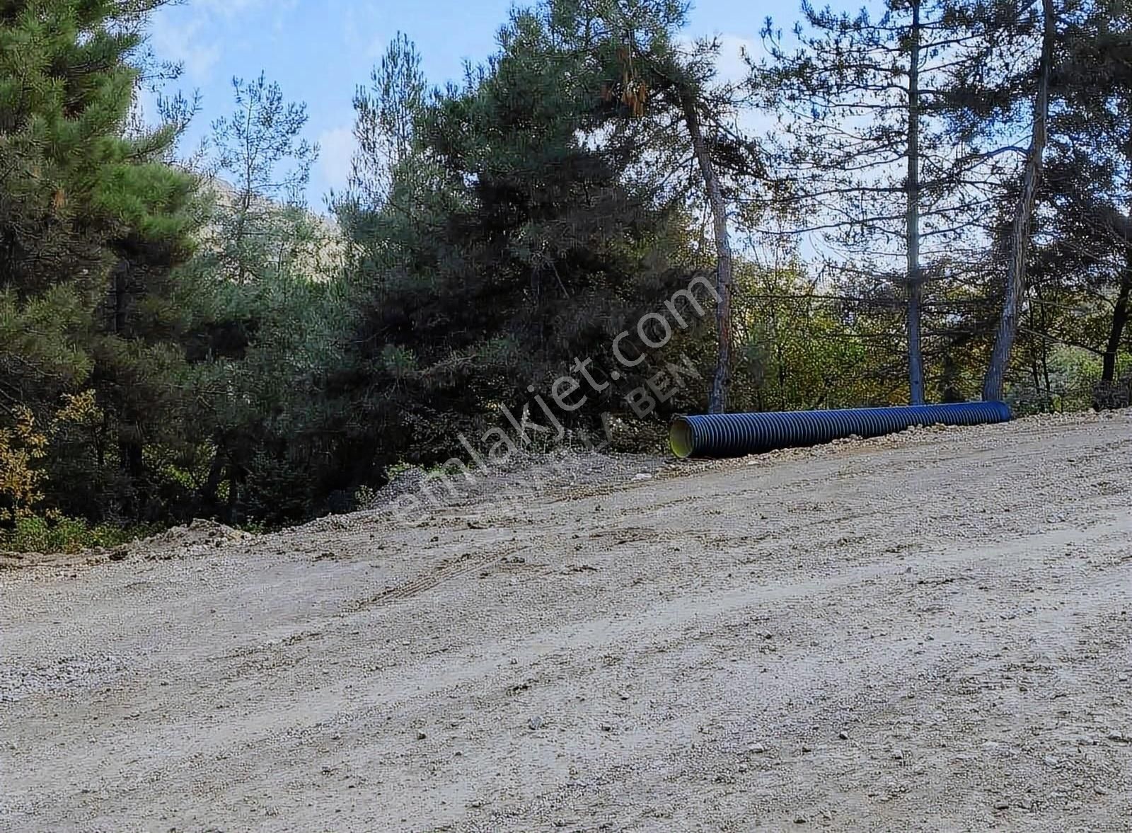 İznik Müşküle Satılık Tarla İznik Müşküle' De Göl Manzaralı Yatırımlık Tarla