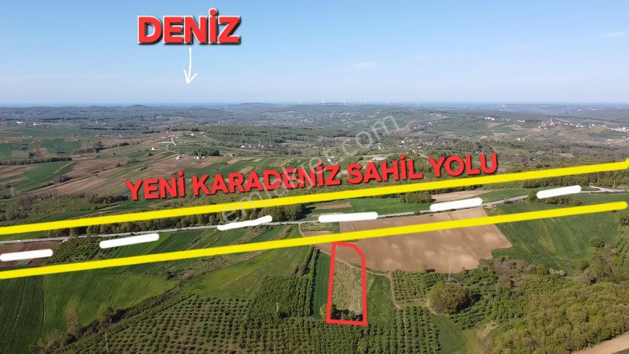 Kandıra Nefsiyadeşte 2941 M2 %5 İmarlı Karadeniz Sahil Y.cepheli
