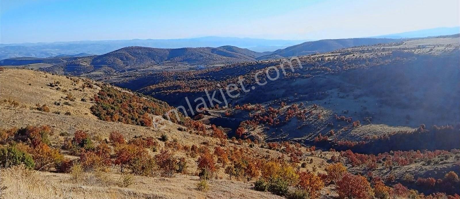 Köprübaşı Akçaalan Satılık Tarla Köprübaşı Akçaalan Ve Huriler De Gese Uyumlu Hesaplı Tarlalar