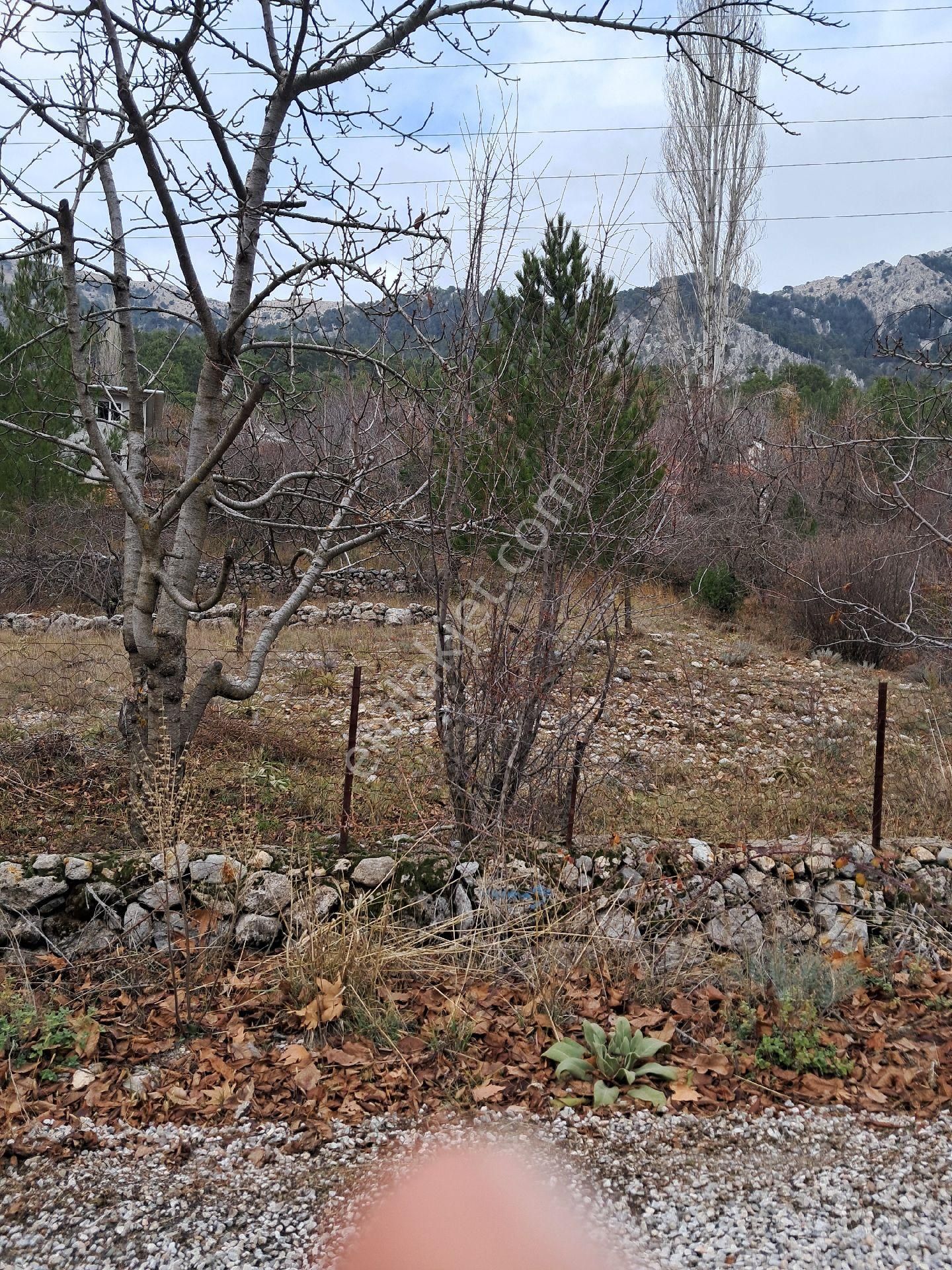 Fethiye Koruköy Satılık Tarla Mercan Gayrimenkul'den Yayla Koru'da Hisseli 568m2 Tarla