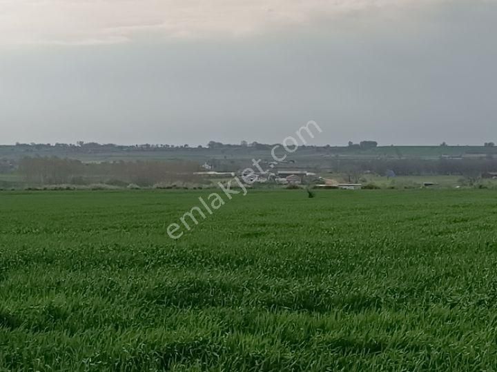 Küçükyoncalı Mahalle 1000 Metre Mesafede Satılık 300 M2 Tarla - Görsel 15